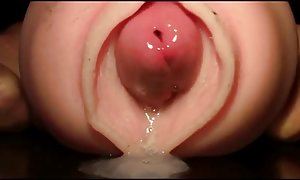 犹太人的比基尼女孩反与同性恋更衣室球员