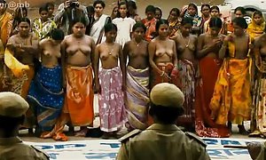 猫视频外该死的脂肪毛茸茸的